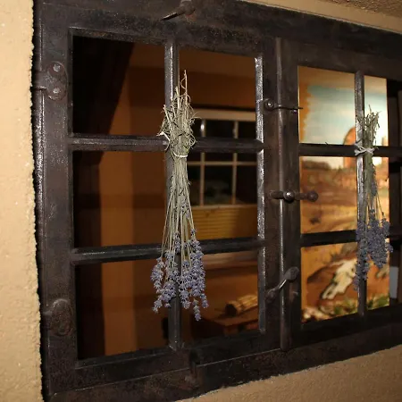 Ferienhaus Zur Kaktusinsel Harsleben